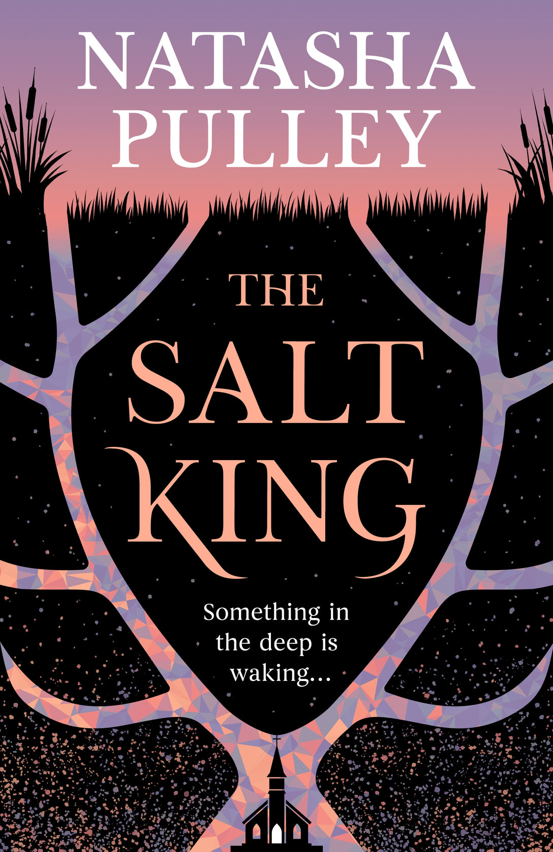 The Salt King by Natasha Pulley