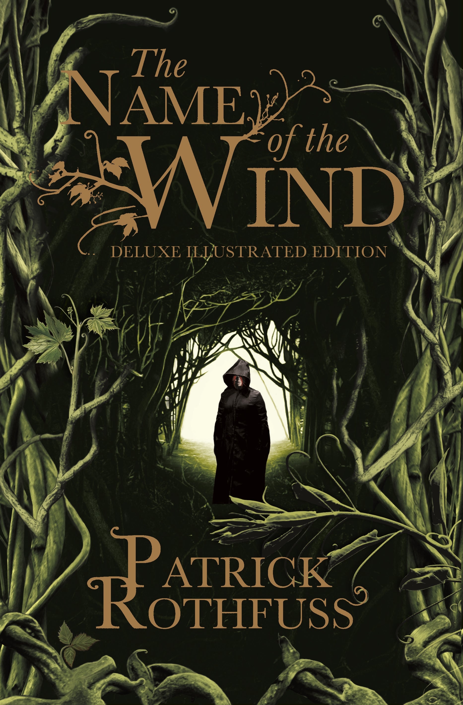The Name of the Wind by Patrick Rothfuss