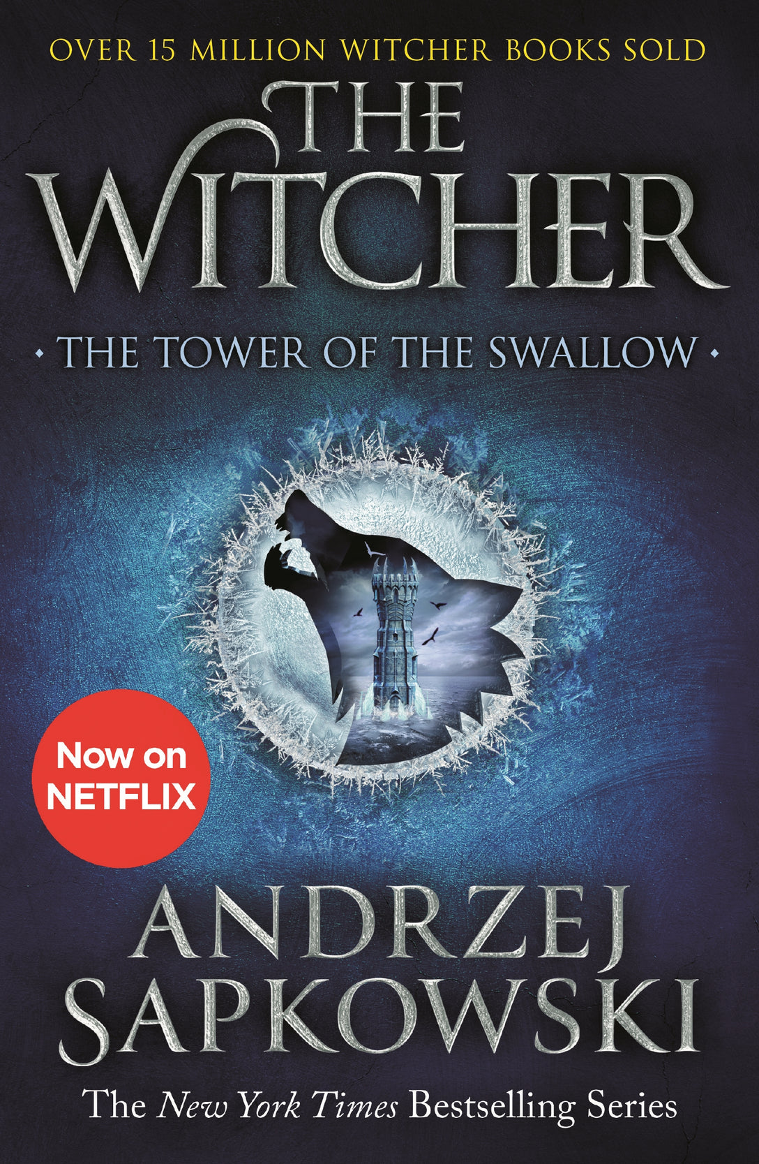 The Tower of the Swallow by Andrzej Sapkowski
