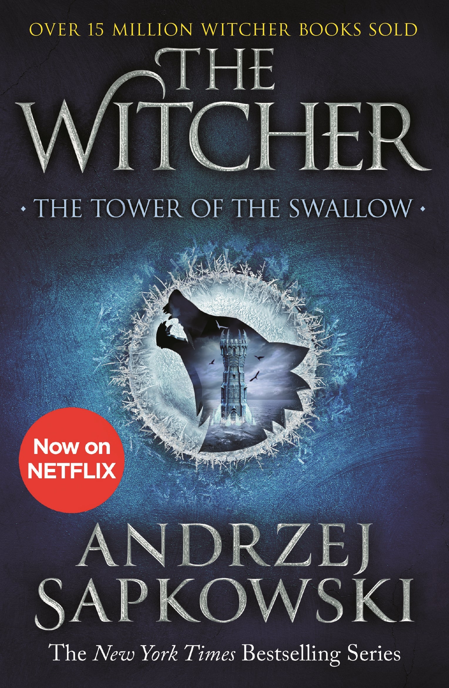 The Tower of the Swallow by Andrzej Sapkowski