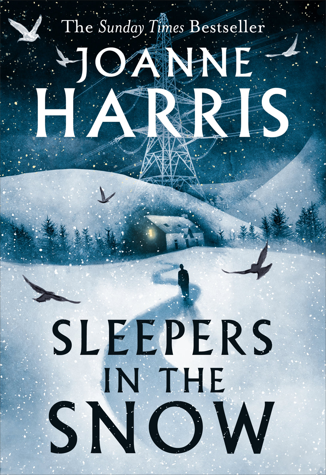 Sleepers in the Snow by Joanne Harris
