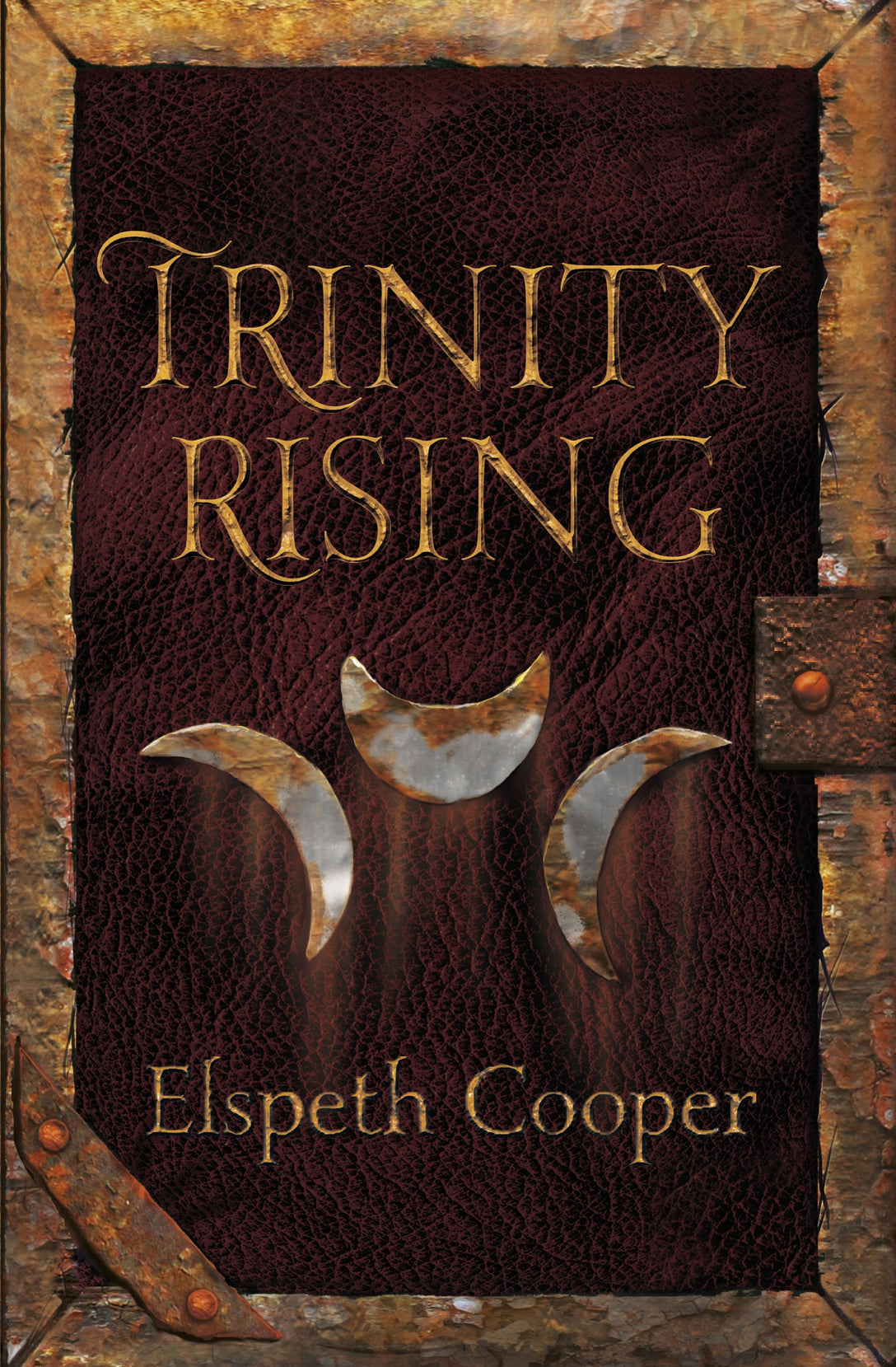 Trinity Rising by Elspeth Cooper